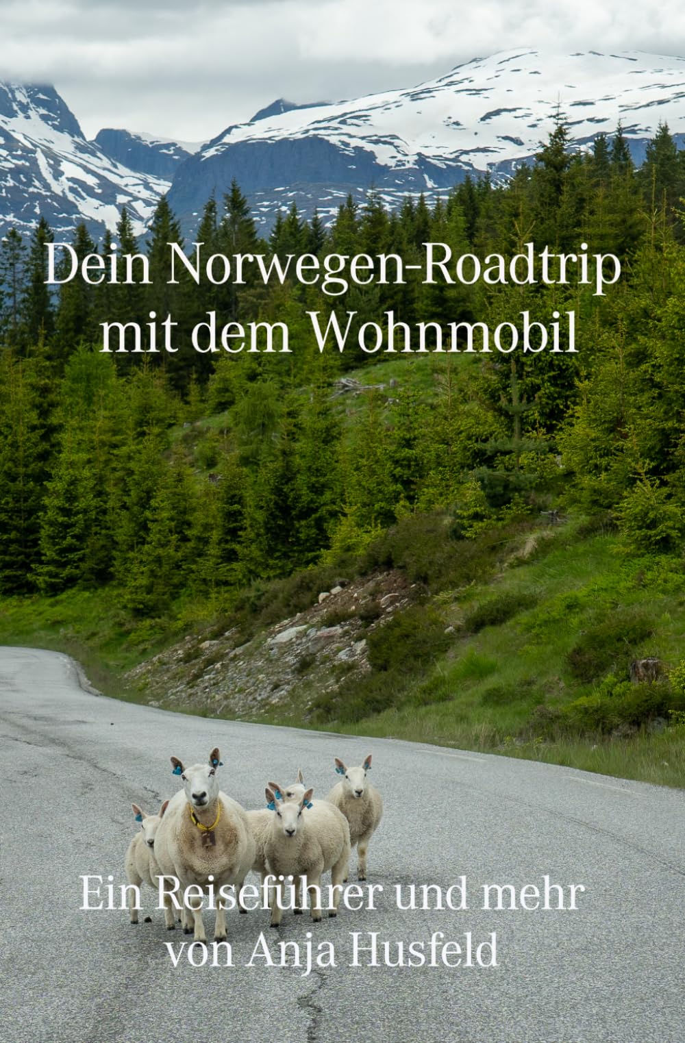 Dein Norwegen-Roadtrip mit dem Wohnmobil