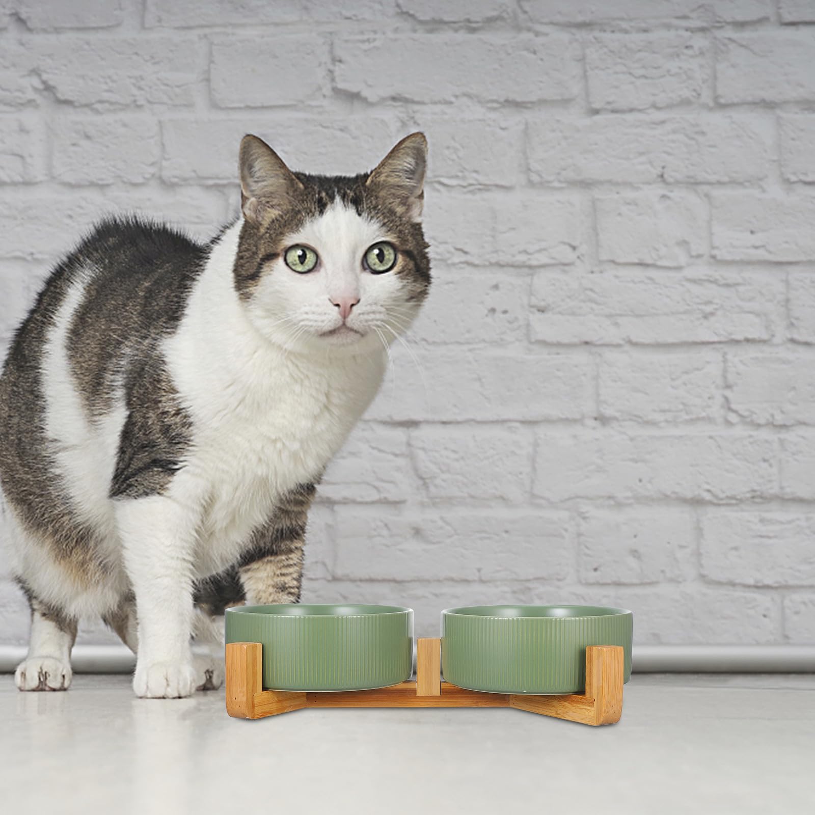 Ciotole per Cani Rialzate in Ceramica con Supporto in Legno, Doppia Ciotola Rotonda, Anti-ribaltamento, per Cibo e Acqua, Uso Domestico, per Cani e Gatti