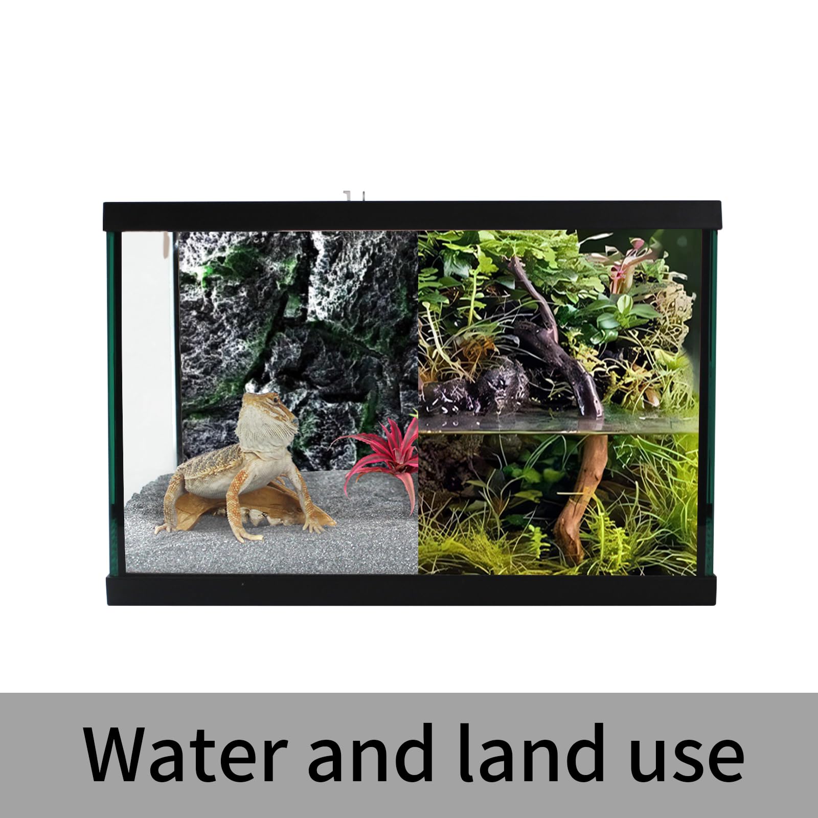 Terrario in vetro per rettili, 30,5 x 30,5 x 20,3 cm, vista completa con ventilazione superiore, gabbia per habitat per anfibi, rane, ragni, scarafaggi Dubia, mantide religiosa, cricket,