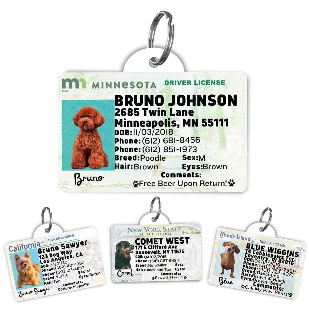 Driver License Custom Dog Tag for Pets and Wallet Card - Dog Tags for Dogs - Dog ID Tag - Personalized Dog ID Tags - Cat ID Tags - Pet ID Tags for Cats - Personalized Pet ID Tags (Minnesota, Tag)