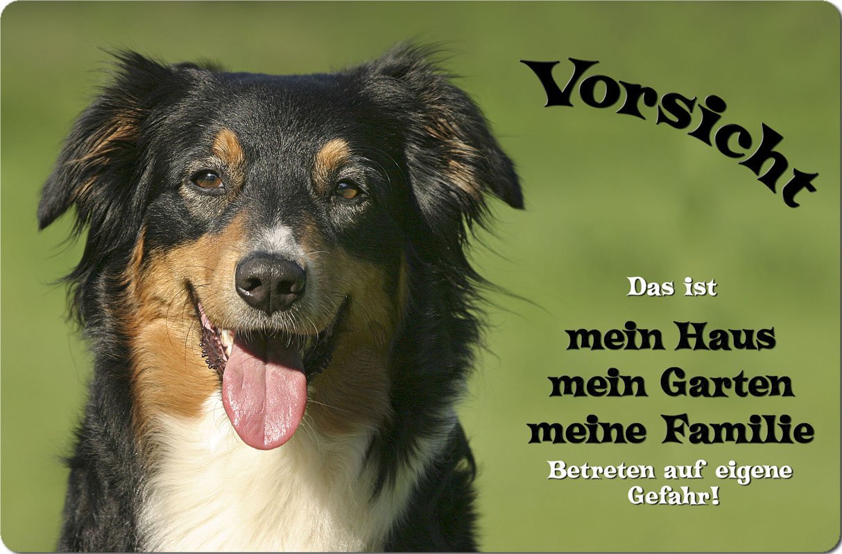 Warnschild 'Australian Shepherd Hund Im Garten' – Aluminium, 30,5x20cm, Wetterfest (A4 Format)