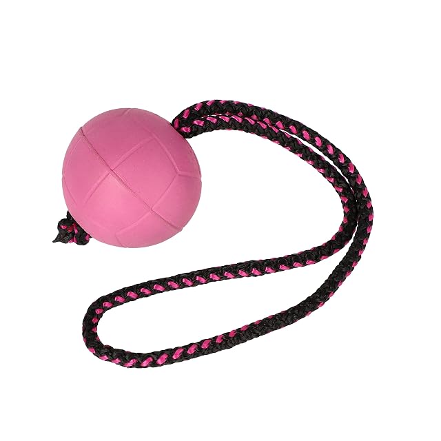 Dingo Ball BIBI - Pelota de entrenamiento (7 cm, con mango, 30 cm), color morado