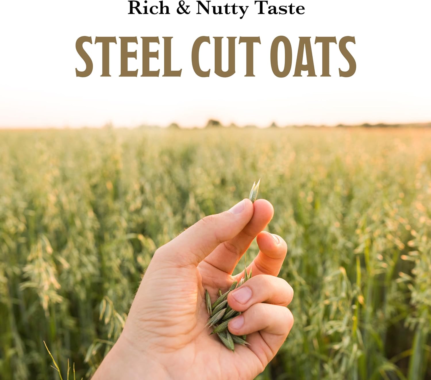 McCann's Irish Oatmeal, Quick & Easy Steel Cut Oats, 24 Ounce (Pack of 12)