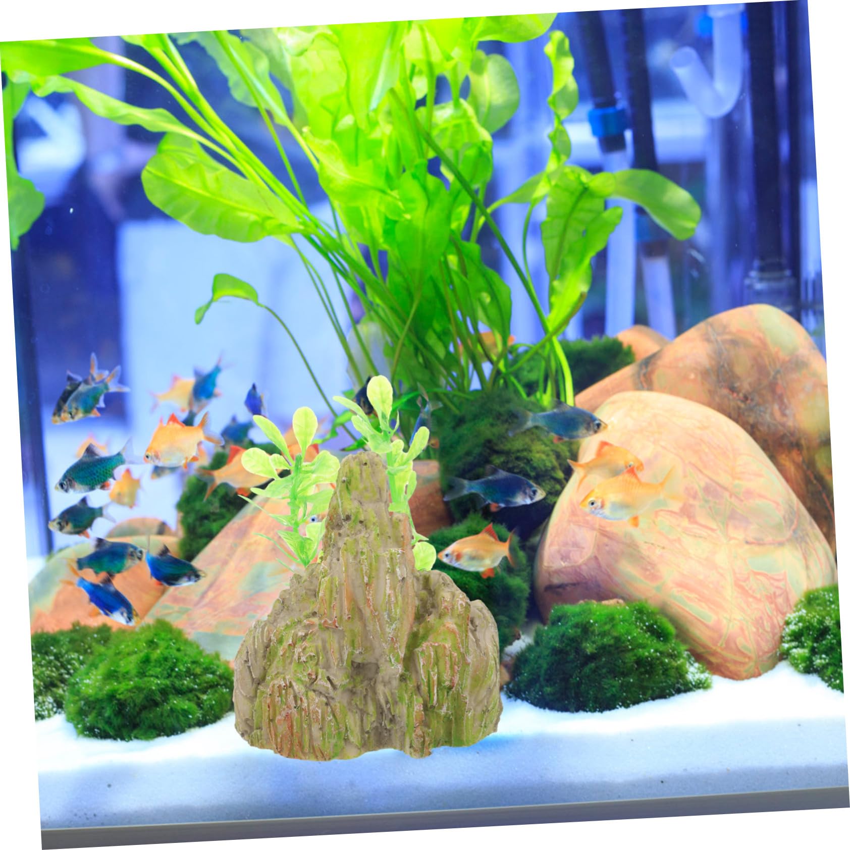 Cabilock 5 Set Paesaggio Roccioso Del Serbatoio Di Pesce Arredamento Ornamenti Del Serbatoio Di Pesce Decorazioni Per Acquari Impostore Decorazione Acquario Con Supporto Resina 2 Pezzi*5
