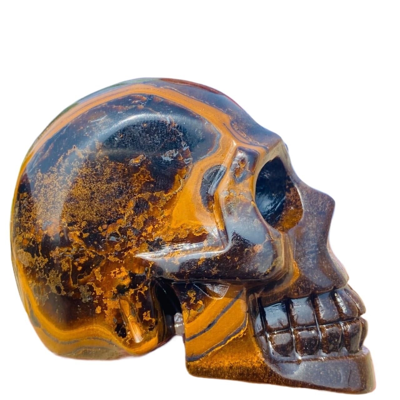 AARTERZZA 1pc 600-650g Tiger Eye Stone Carved Skull Quartz