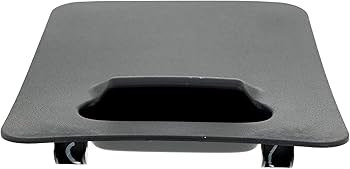 Amazon.com: Polaris 5454122 Black Engine Access Door Panel RZR
