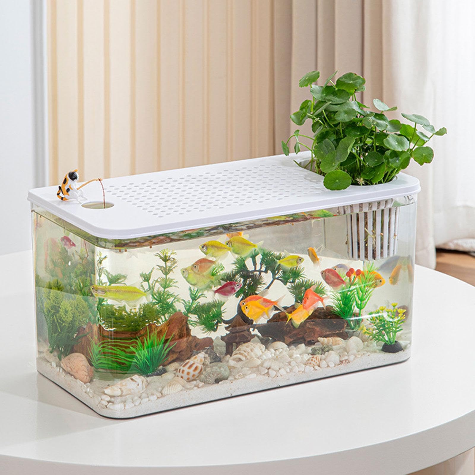 Reptilien Terrarium, Zubehör für Kleine Aquarien, Transparenter Lebensraum, Futterbox für Frösche, Schildkröten, Kampffische, Krebse, Weißer Deckel