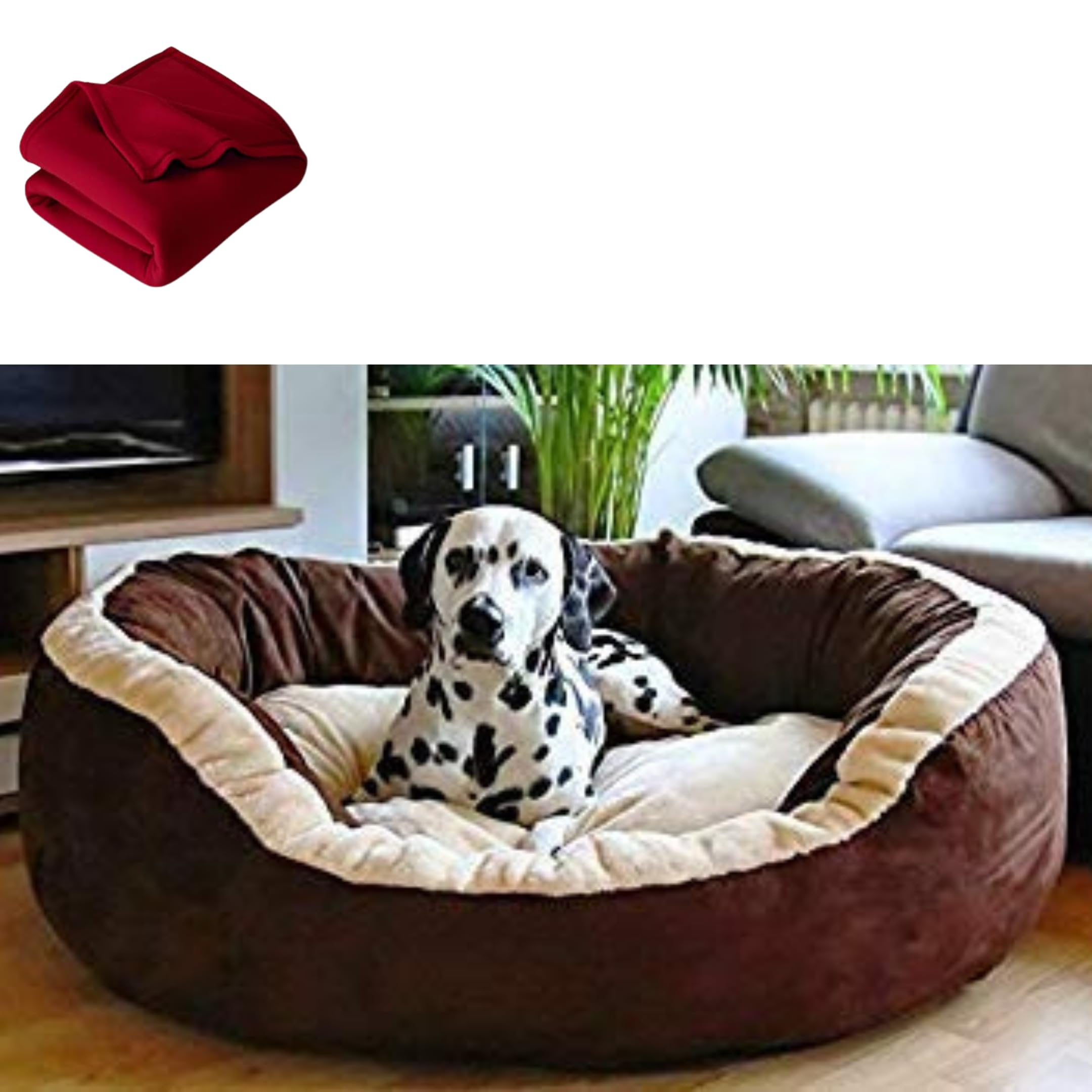 DRILLY Washable Dog/cat Bed with Blanket for Small | Medium | Large | Extra Large | XXL | XXXL | 4XL Size Dogs | Cats | Puppy | pet | Rabbit | Persian cat | Indoor cat (3XL) (B0C5TKC1CJ) Amazon Price History, Amazon Price Tracker