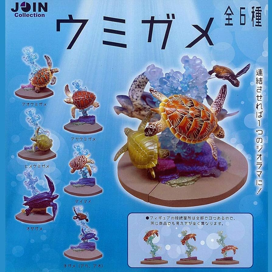 Amazon | JOIN collection ウミガメ [全6種セット(フルコンプ