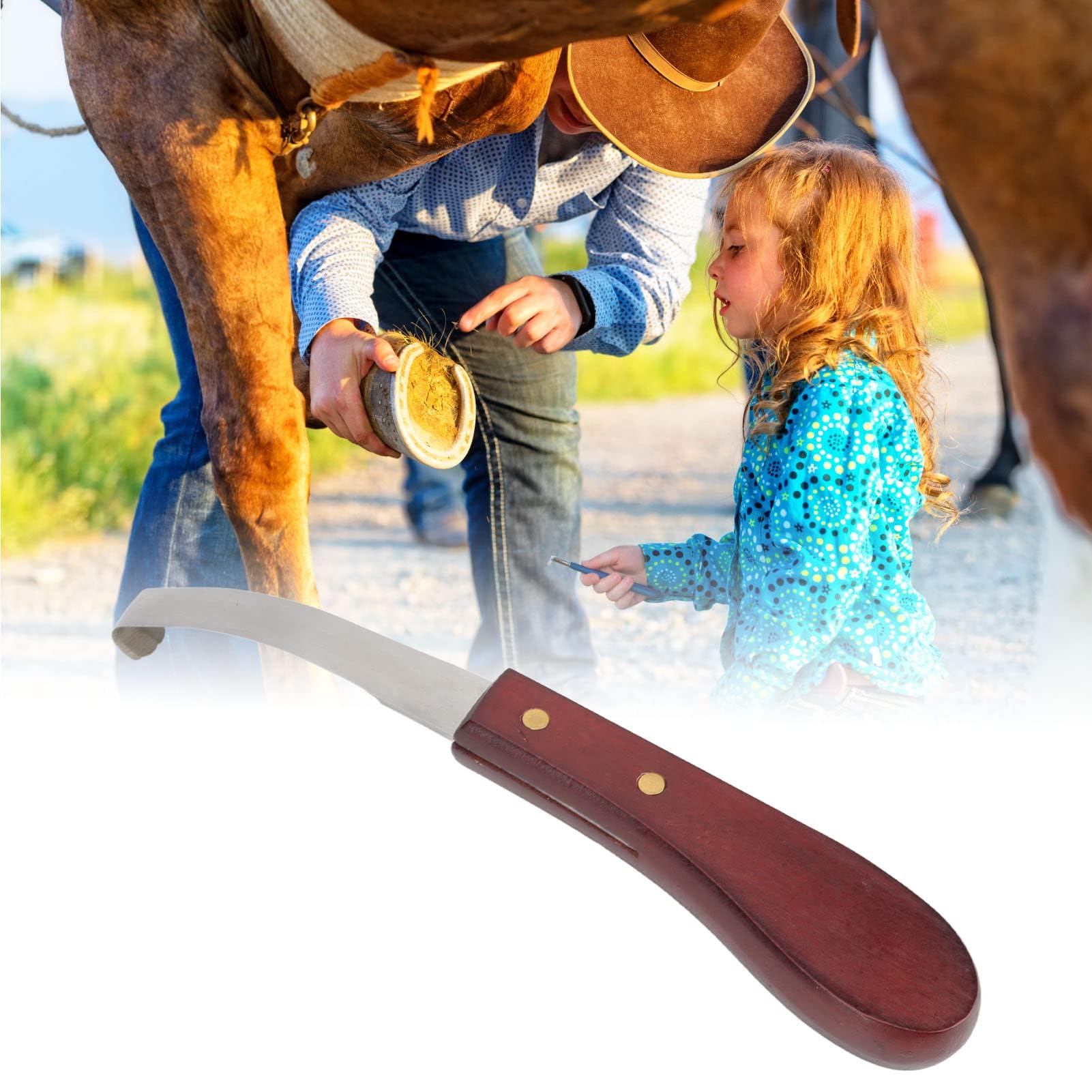 Zerodis Rasoio per Coltello per Zoccolo, Lama a Doppia Faccia in Acciaio Inossidabile Manico Ergonomico in Legno Coltello per Zoccolo Coltello per Zoccolo Maniscalco