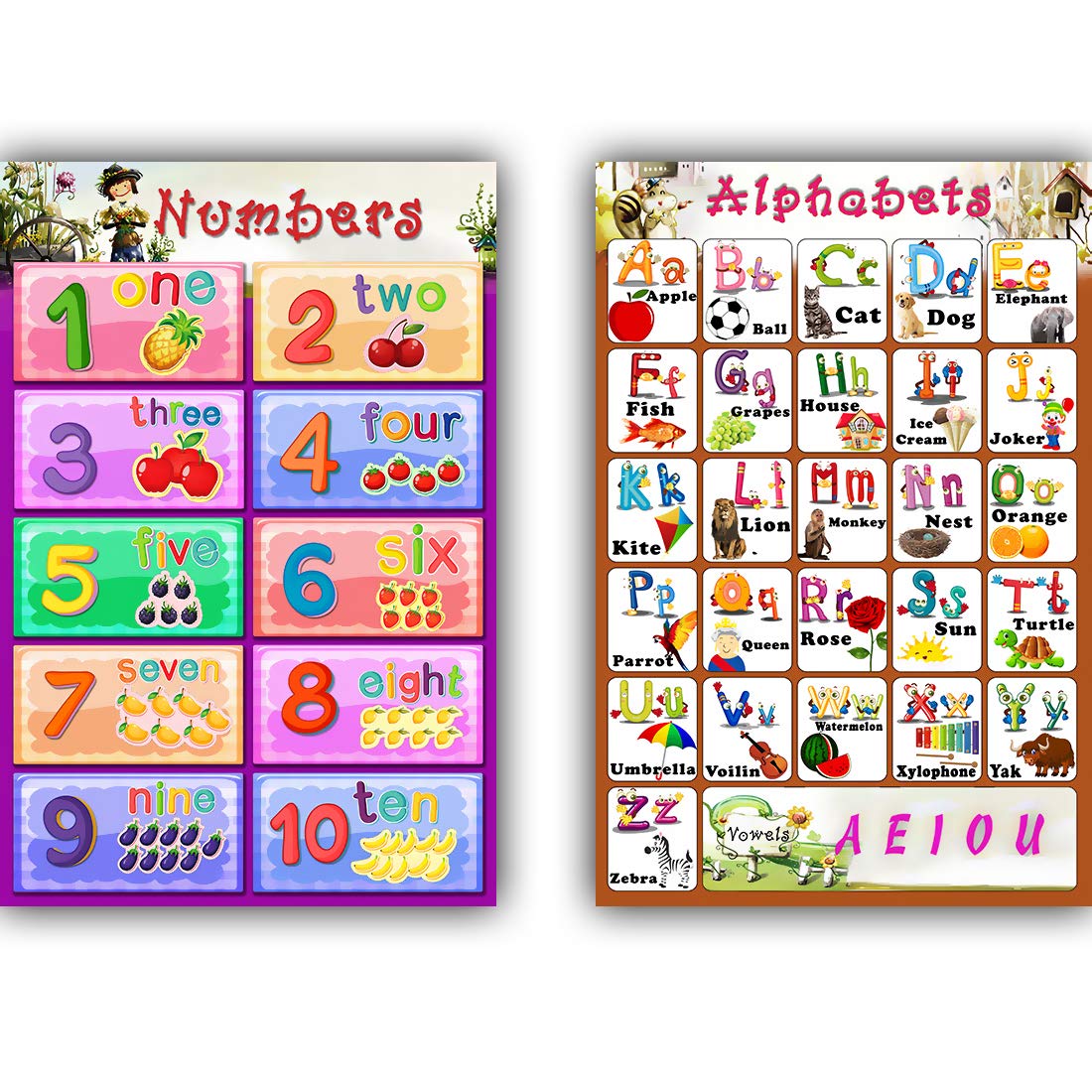 Xpresssion Decor ABC alphabet and numbers 1-10 Charts Educational poster muiticolour 12x18 rolled paper 001-002