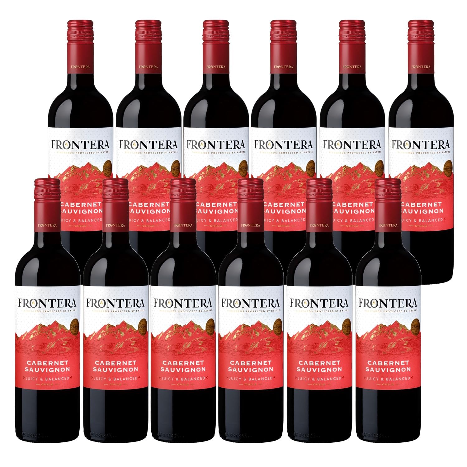 Amazon.co.jp: コンチャ・イ・トロ フロンテラ カベルネ