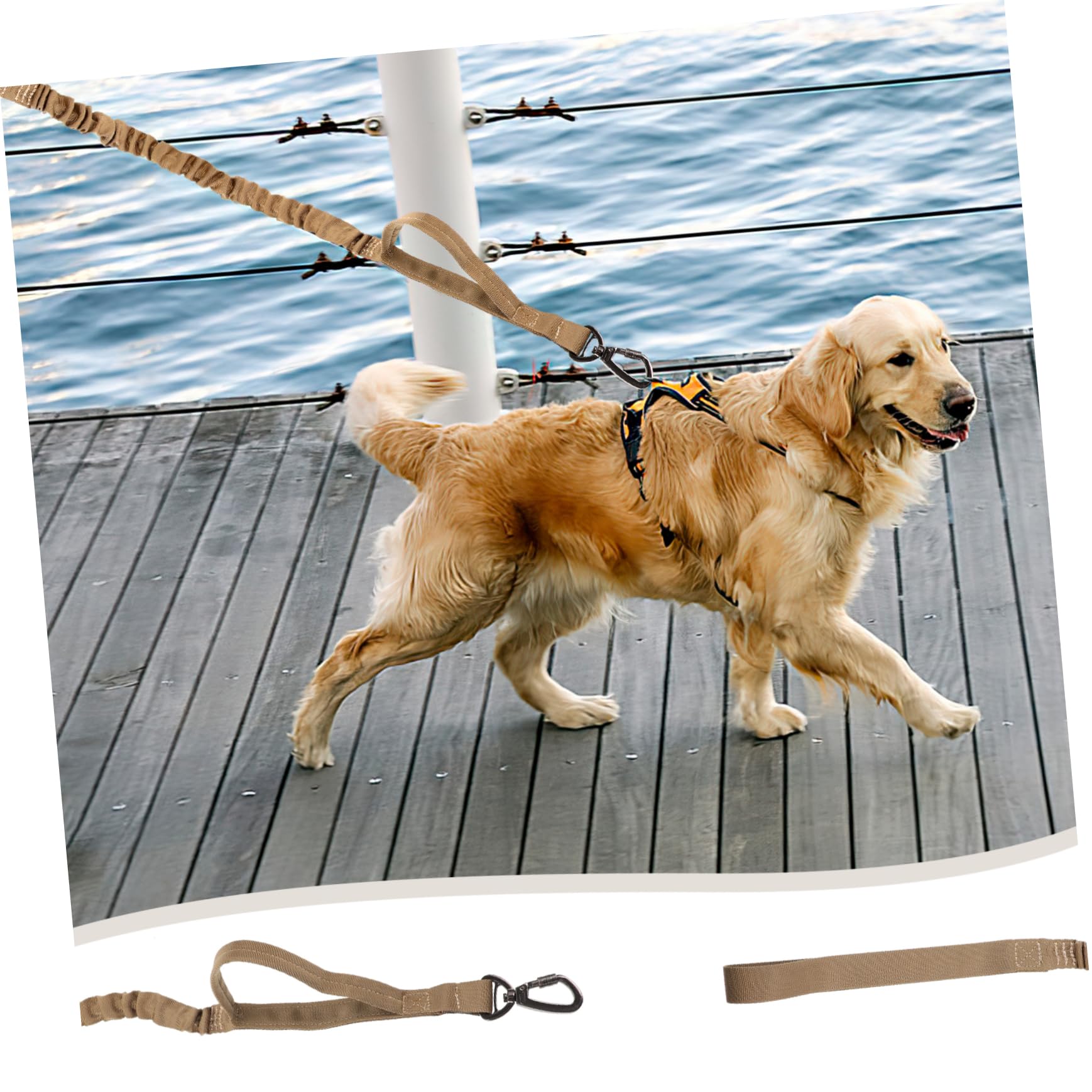 Beaupretty Lot De 3 Laisses Réglables en Nylon pour Dressage De Chiens avec Clip Sécurisé Et Poignée Confortable pour La Promenade Et Lentraînement du Chien