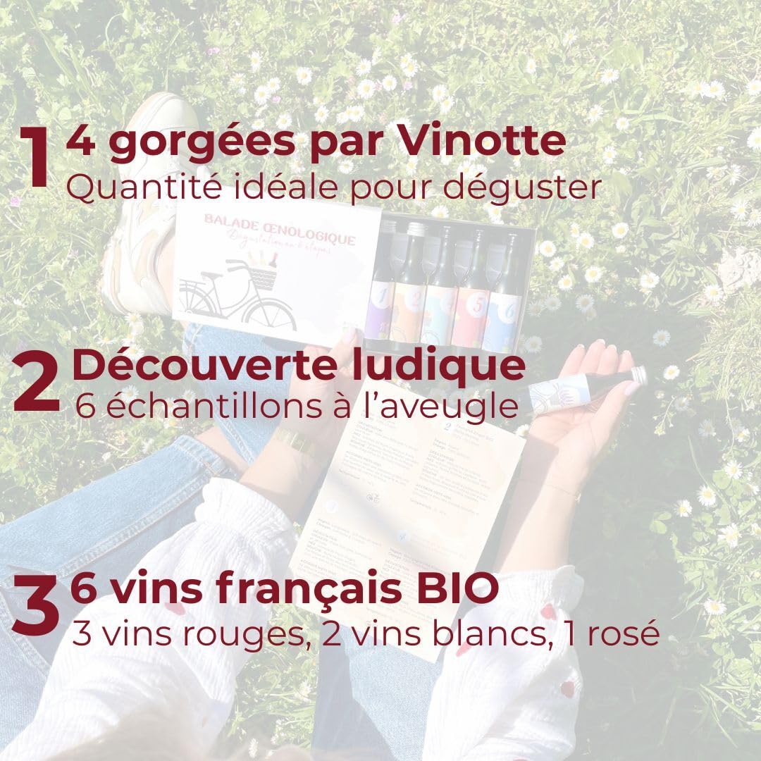 Coffret Dégustation 6 Vins Français Bio – Idée Cadeau – Bourgogne, Bordeaux, Alsace, Loire, Rhône, Languedoc – Rouges, Blancs et Rosé – 6 x 40 ml – E-Tasting
