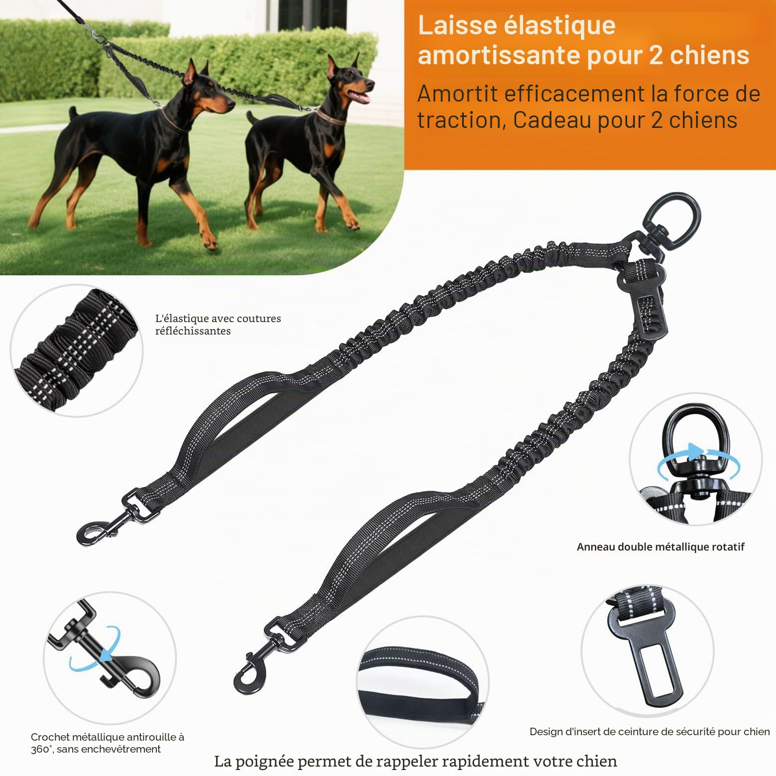 Laisse Rétractable pour Chien 8 m, Extensible, Taille Moyenne et Grande (Jusqu'à 50kg), Corde élastique Double, Gris