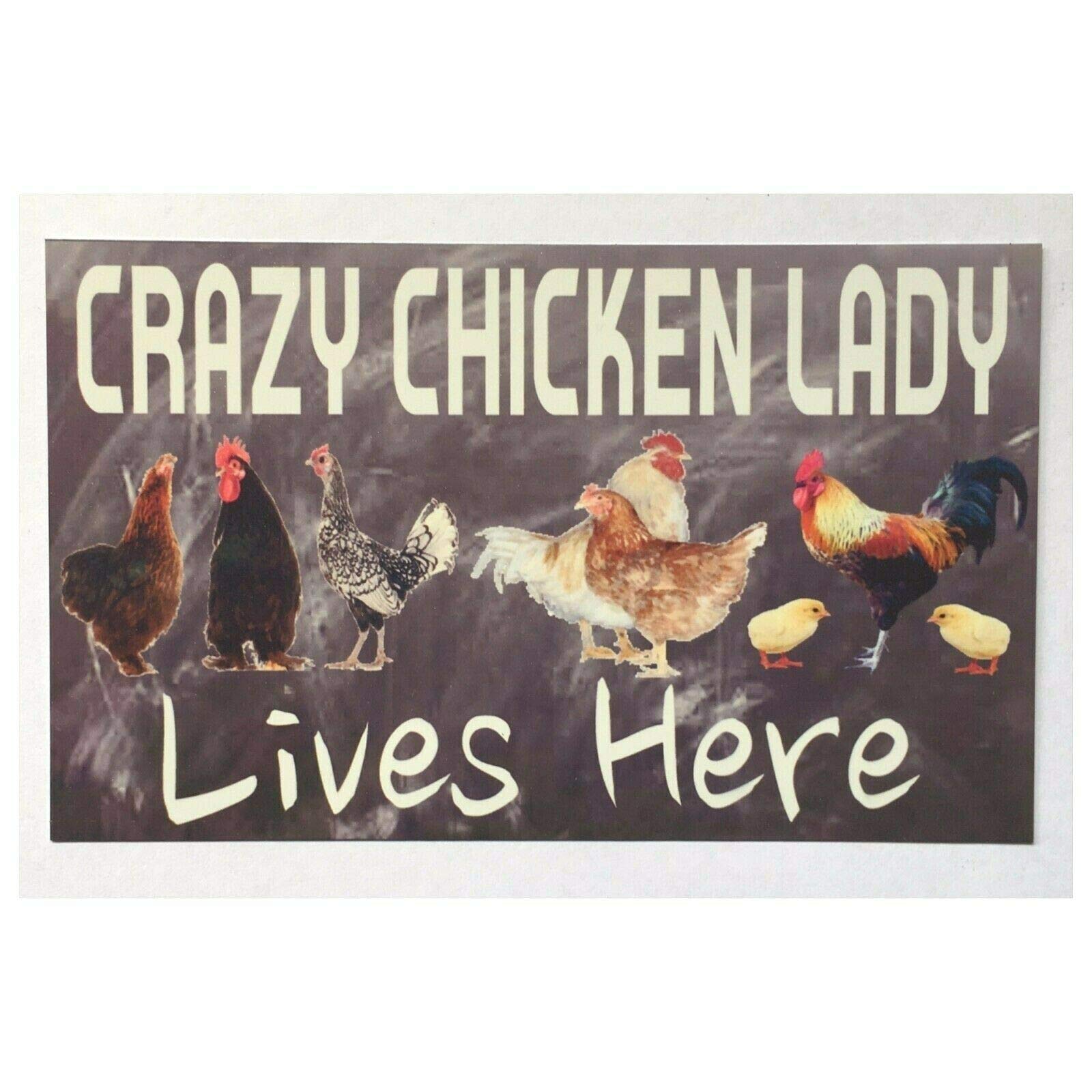 Kwqdozf As Pic Funny Crazy Chicken Lady Lives Here Farm Country Street Garage & Home Bar C