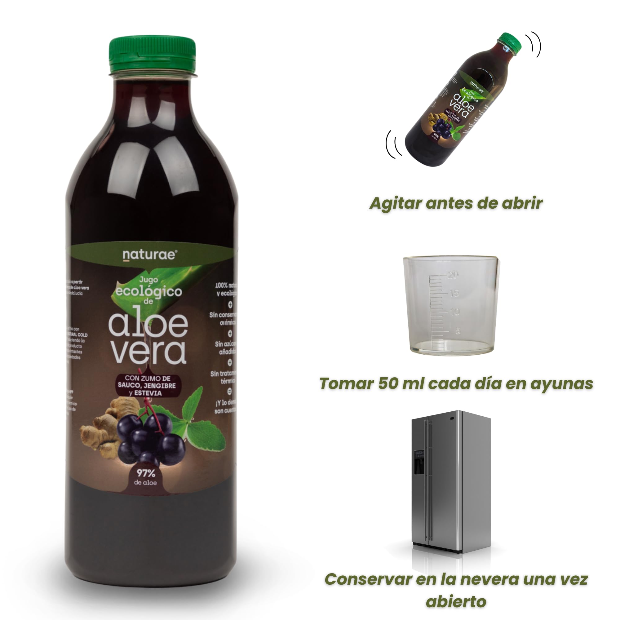 NATURAE Jugo Aloe Vera con saúco y jengibre - 3 Recipientes de 1000 ml - Total: 3000 ml