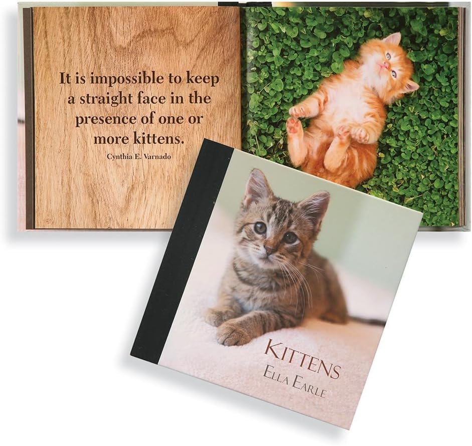 Kittens