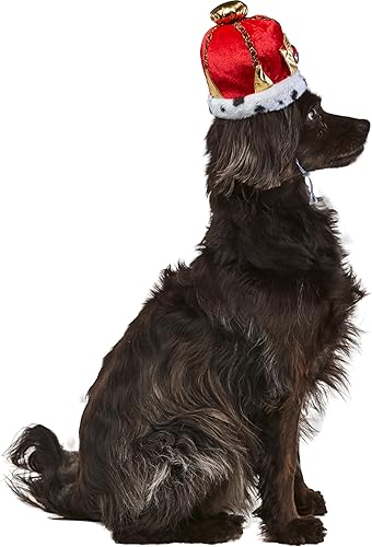 Miniatura 3 de Rubies Corona King Pet para perros o gatos, SM