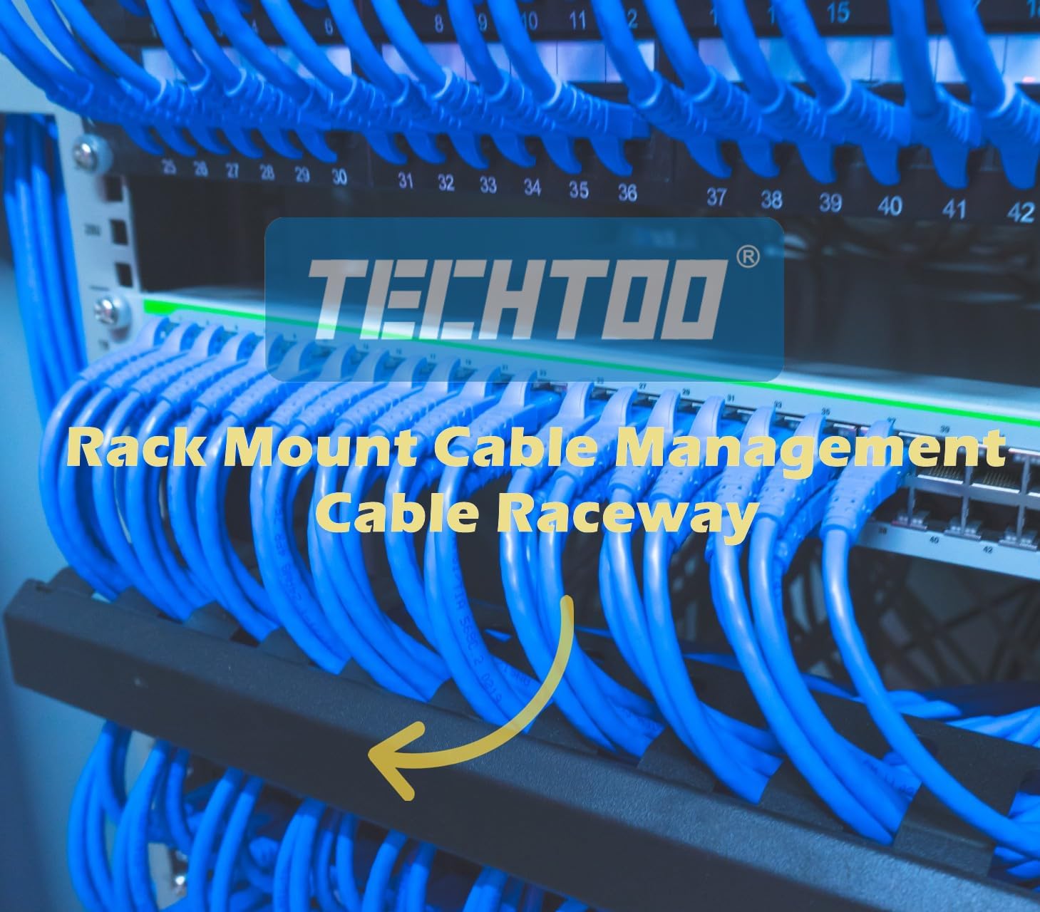 TECHTOO Rack Mount Cable Management Cable Raceway Duct Panel 1U 12 Slot Horizontal 19-Inch Cable Organizer Metal with Detachable Cover (Metal-1U)