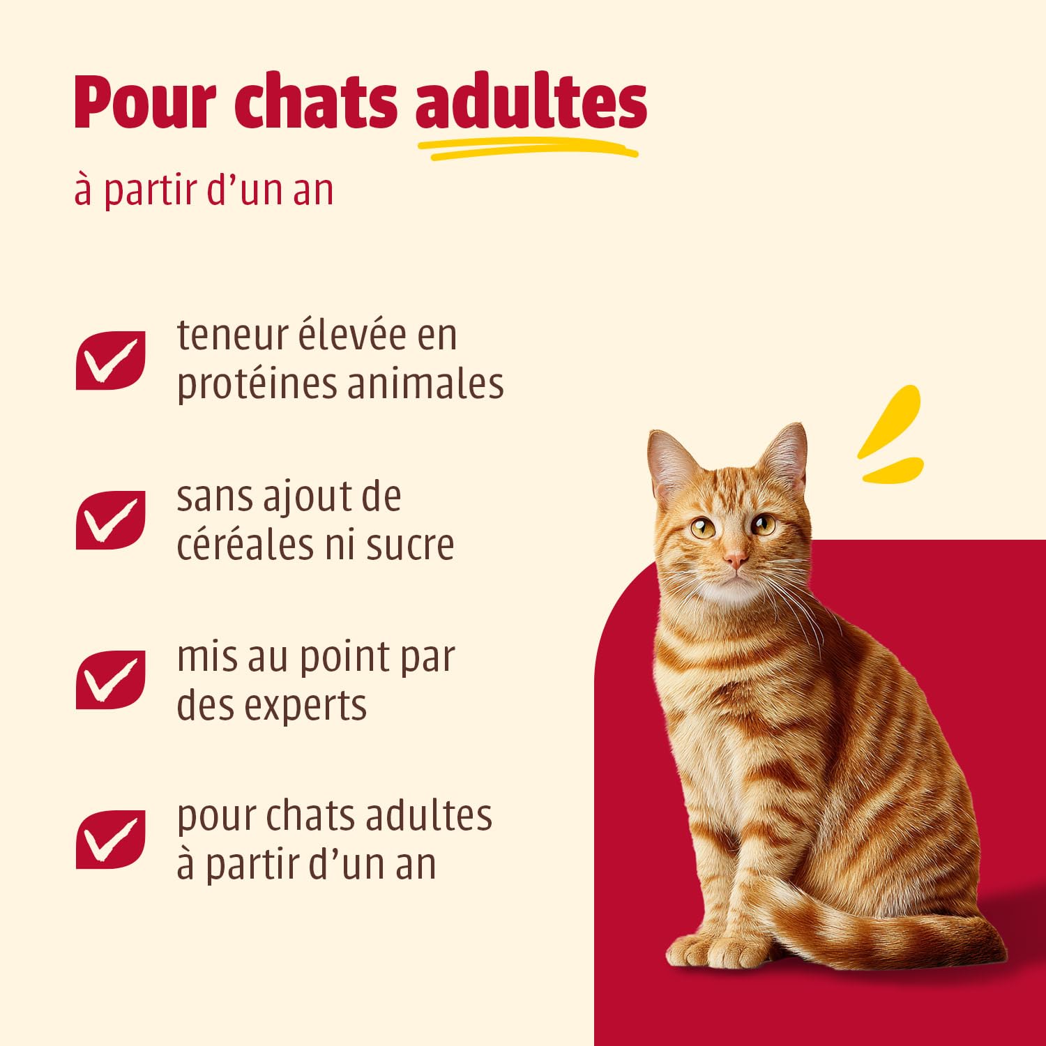 Carny Lot de 6 boîtes de pâtée pour Chat de 200 g - Mélange de volaille - sans céréales ni Sucre - avec ingrédients Frais et charnus