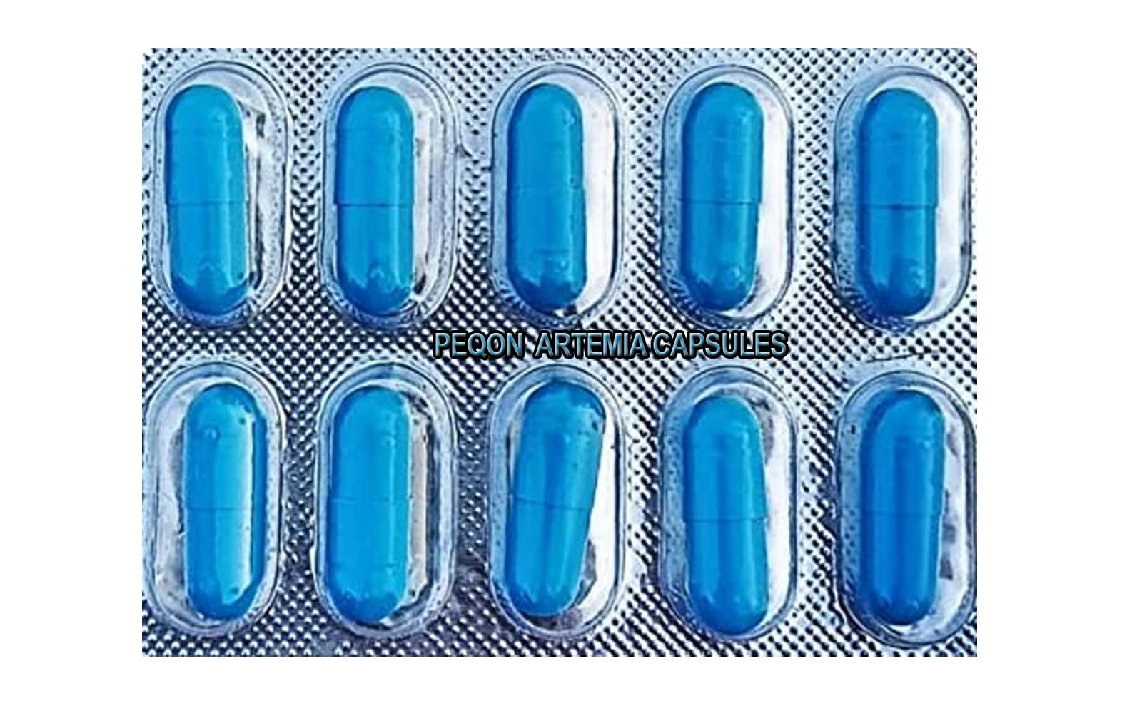 Peqon Artemia cysts Brine Shrimp Eggs Fish Food for Baby Fishes 1 Strip (10 Capsules) Sold by RedBeaks (B09SDNK1FX) Amazon Price History, Amazon Price Tracker