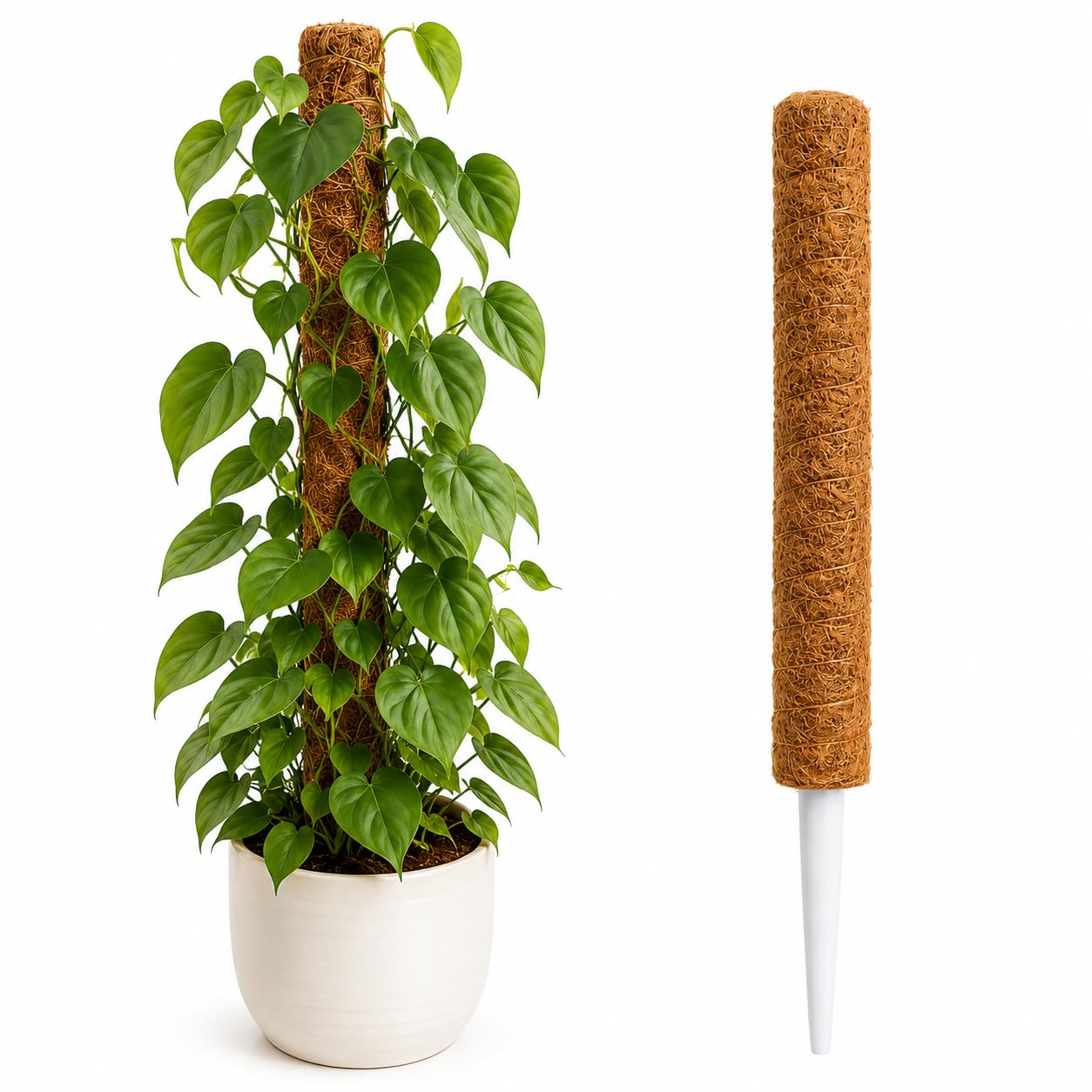 Natural Coco Coir Plant Support Pole 24 Inch for Climbing Plants | Aerial Root Growth, Easy to Install, Monstera & Pothos, Durable Construction, Indoor & Outdoor Use-image-21