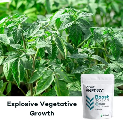 Miniatura 6 de Fitleaf Plant Energy Boost 20-5-10  El mejor alimento vegetal soluble en agua para un potente crecimiento vegetativo promueve hojas verdes