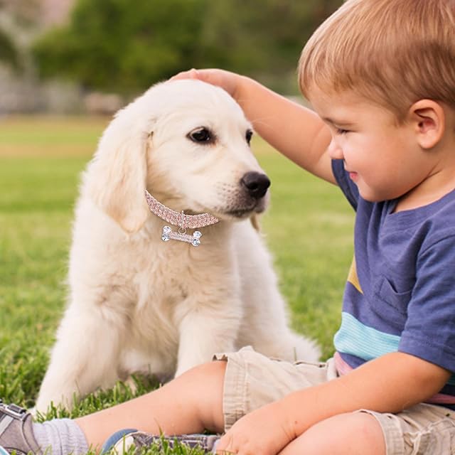 Foto 5 de 8 de Collar de perro con brillantes - Colgante de joyería de hueso de diamantes de imitación, collar para mascotas…