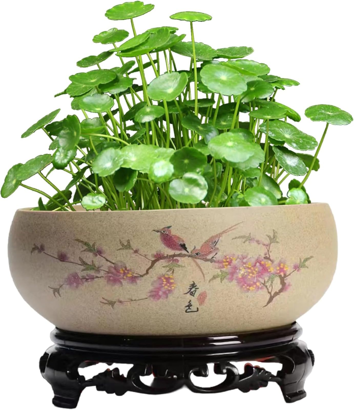 Lotus Bowl Planter,Lotus Bowls for Planting in Water Indoors,bonsai pot,Plant Container Bowl,Chinese Ceramic Lotus Plant Pot with Stand,Hydroponic Bonsai Bowl Lotus Flower for Bowl Lotus Flower Seeds