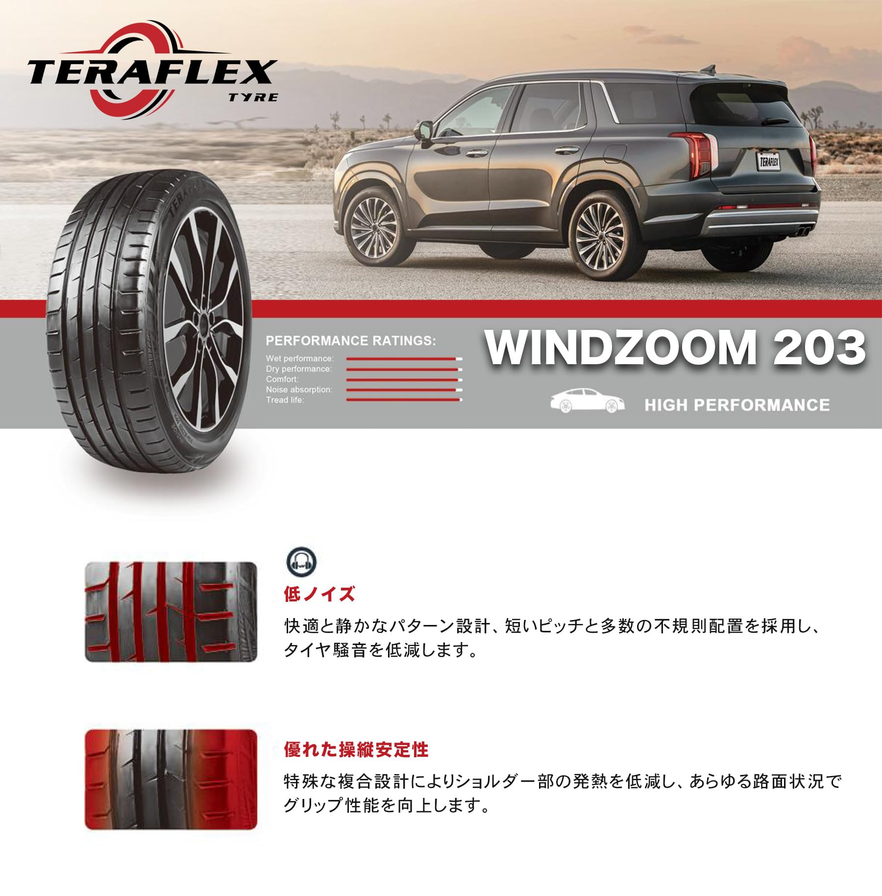 Amazon.co.jp: TERAFLEX テラフレックス WINDZOOM 203 245/35R19 89W