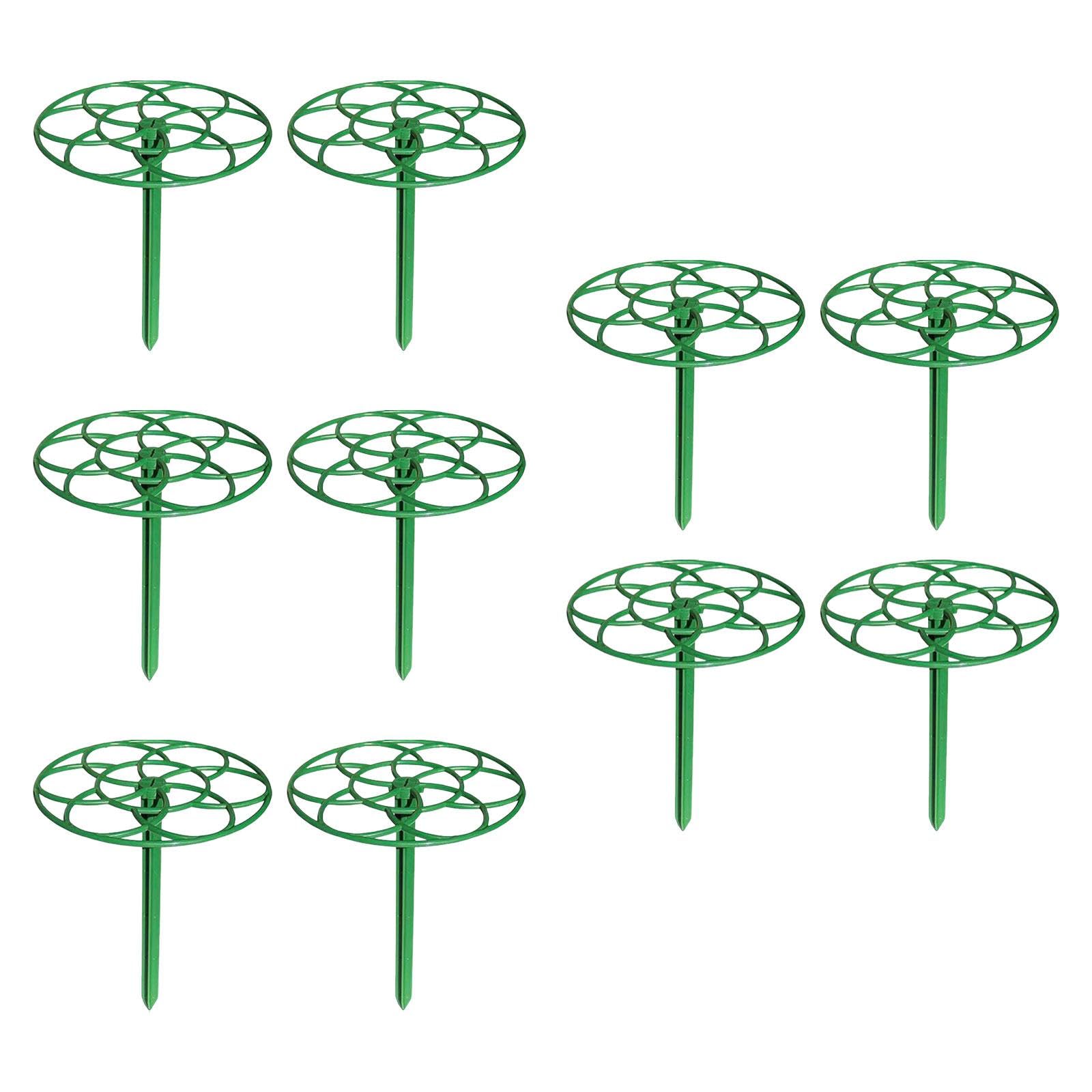 10 Pieces Plant Topper Holder Support Stakes for Vegetables Roses Houseplant Large|Home & Garden | Yard, Garden & Outdoor Living | Garden D?©cor | Plant Stands-image-30