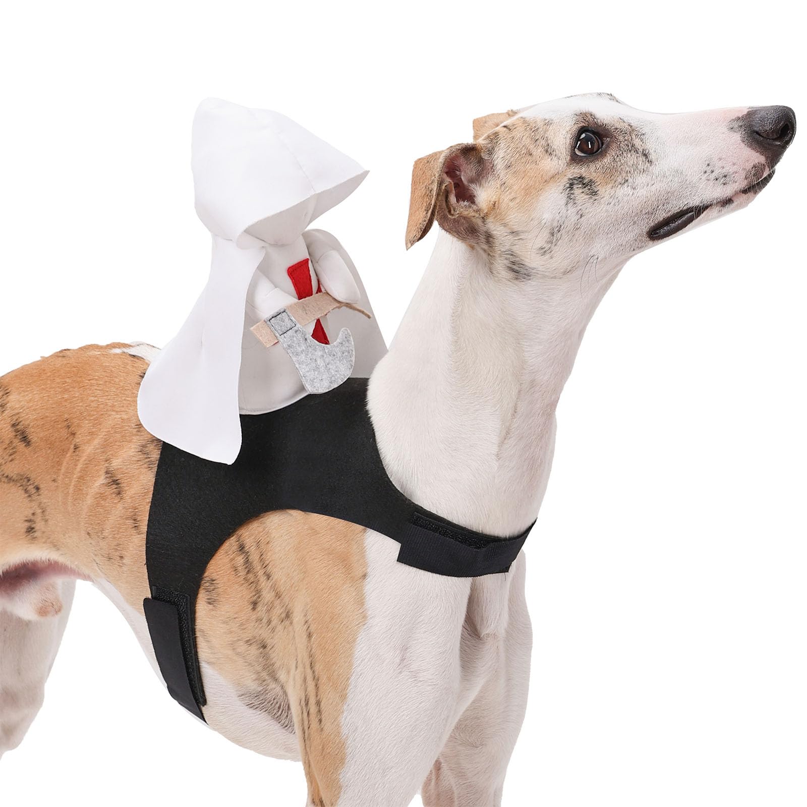 Dog Knight Warrior Costume, Halloween Pet Riding Clothes, Cosplay,L