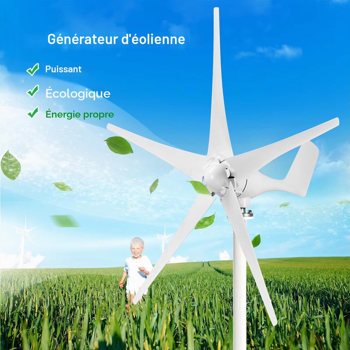 Générateur d'éolienne 500W, 12V 24V PMG Businesses Kit Turbine avec Régulateur de Vent à 5 Pales pour Charge à Domicile Marine