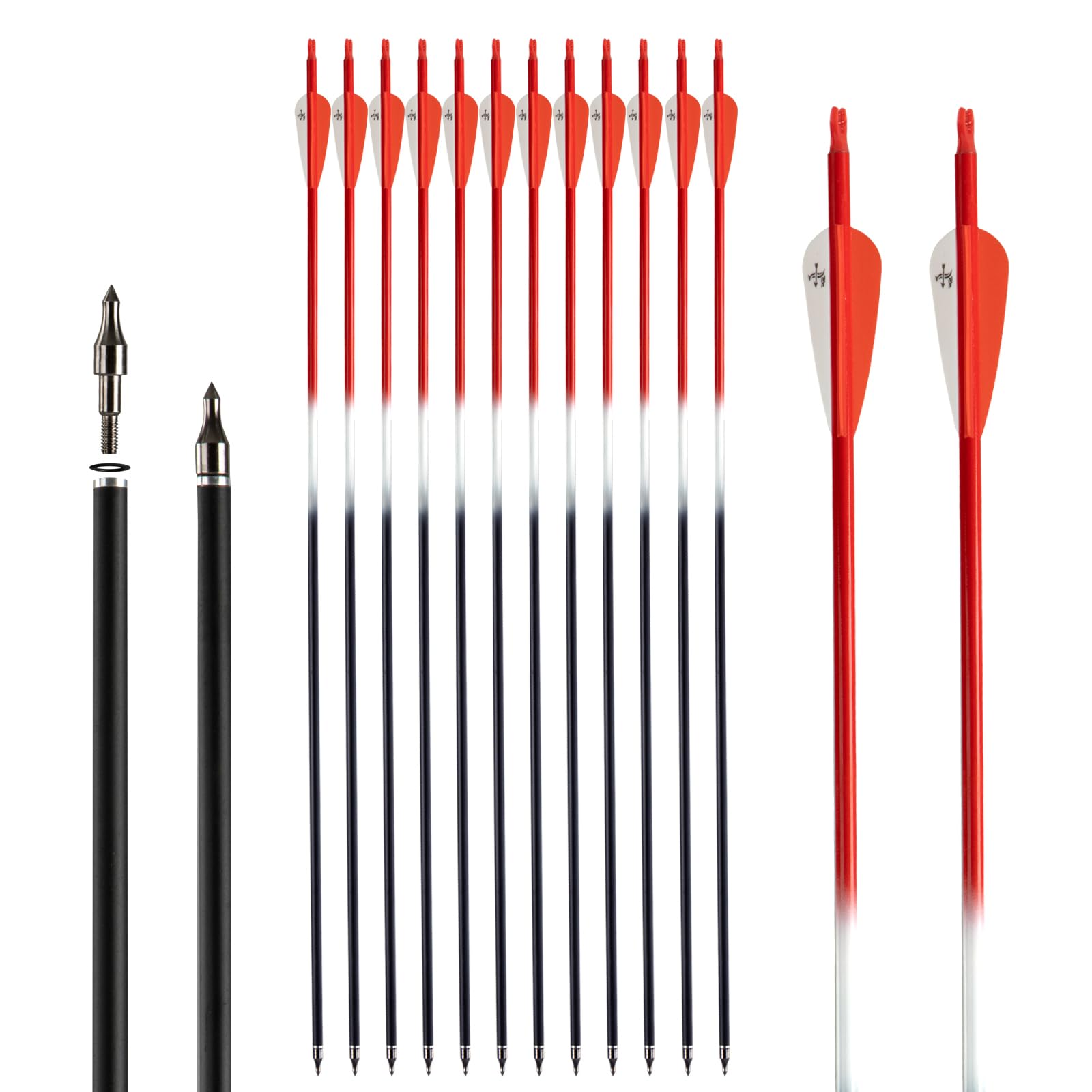 S F Flèches de Chasse d'entraînement en Carbone Spine 500 pour arcs à poulies et arcs Classiques (Pack de 12)