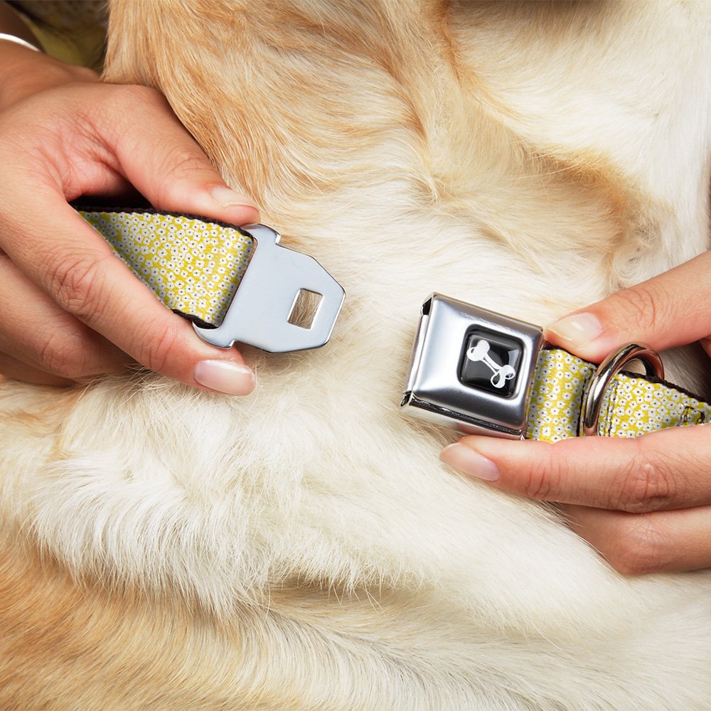 Buckle-Down DC-W33007-WS - Cinturón de Seguridad para Perro, tamaño pequeño, diseño Floral, Color Amarillo, Blanco y marrón