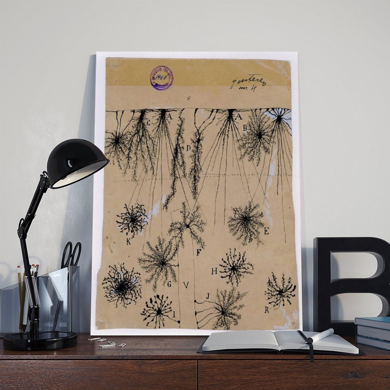 Cuadro de neuronas Cajal – Póster de anatomía cerebral antigua de células gliales para dormitorio, lienzo para decoración de pared, oficina, habitación, decoración estética, marco de regalo, 12 x 18