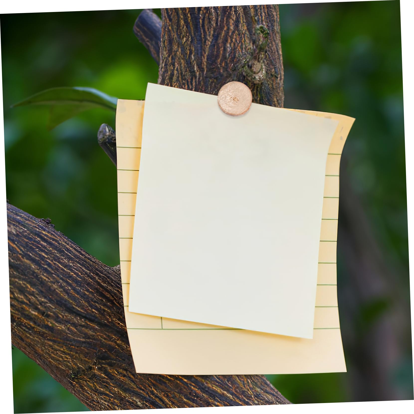 SHINEOFI 4 Sätze Pine Chip Message Board Wand Daumennägel Farbig Dekorative Stecknadel Reißnägel Und Stecknadel Zarte Reißnägel Schreibtischdekorationen Für Das Büro Holz 100 Stück * 4