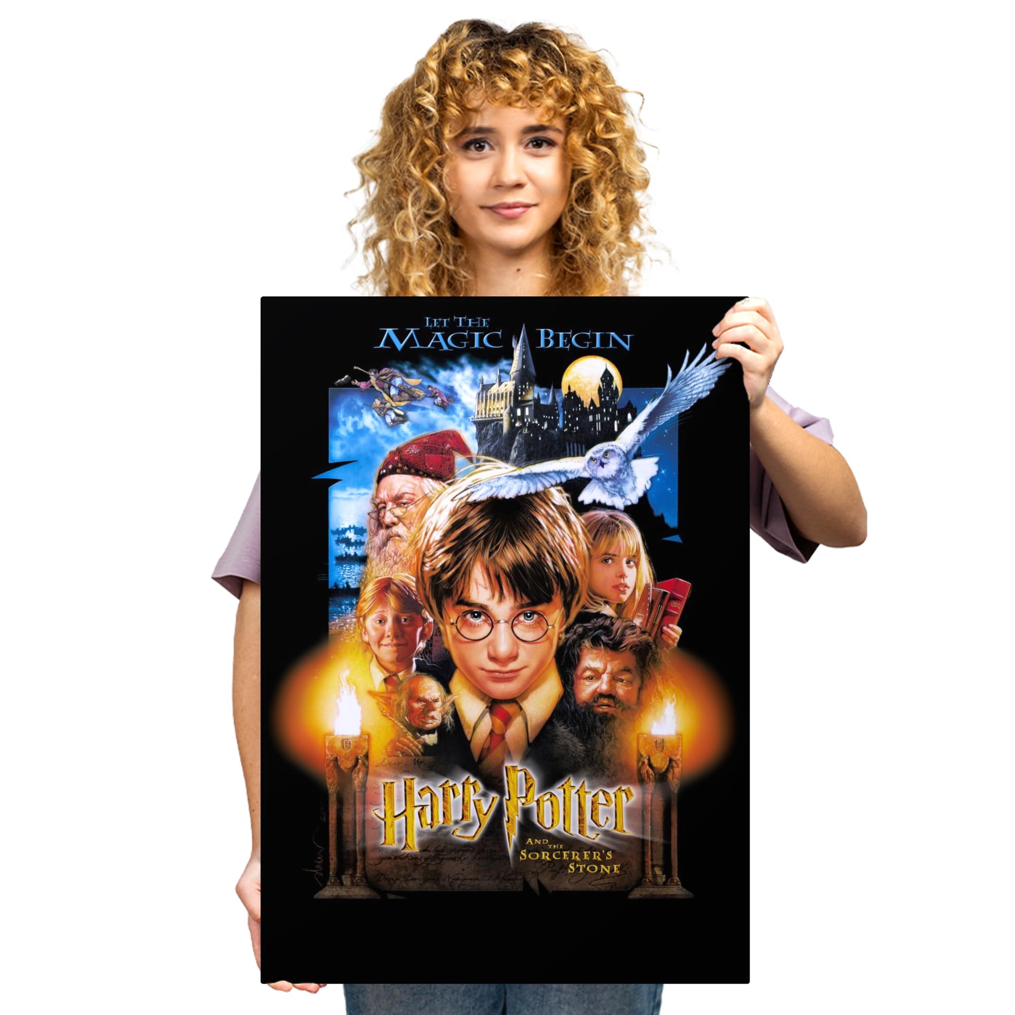Amazon.com: Displate Metal Poster Harry Potter - Wizarding