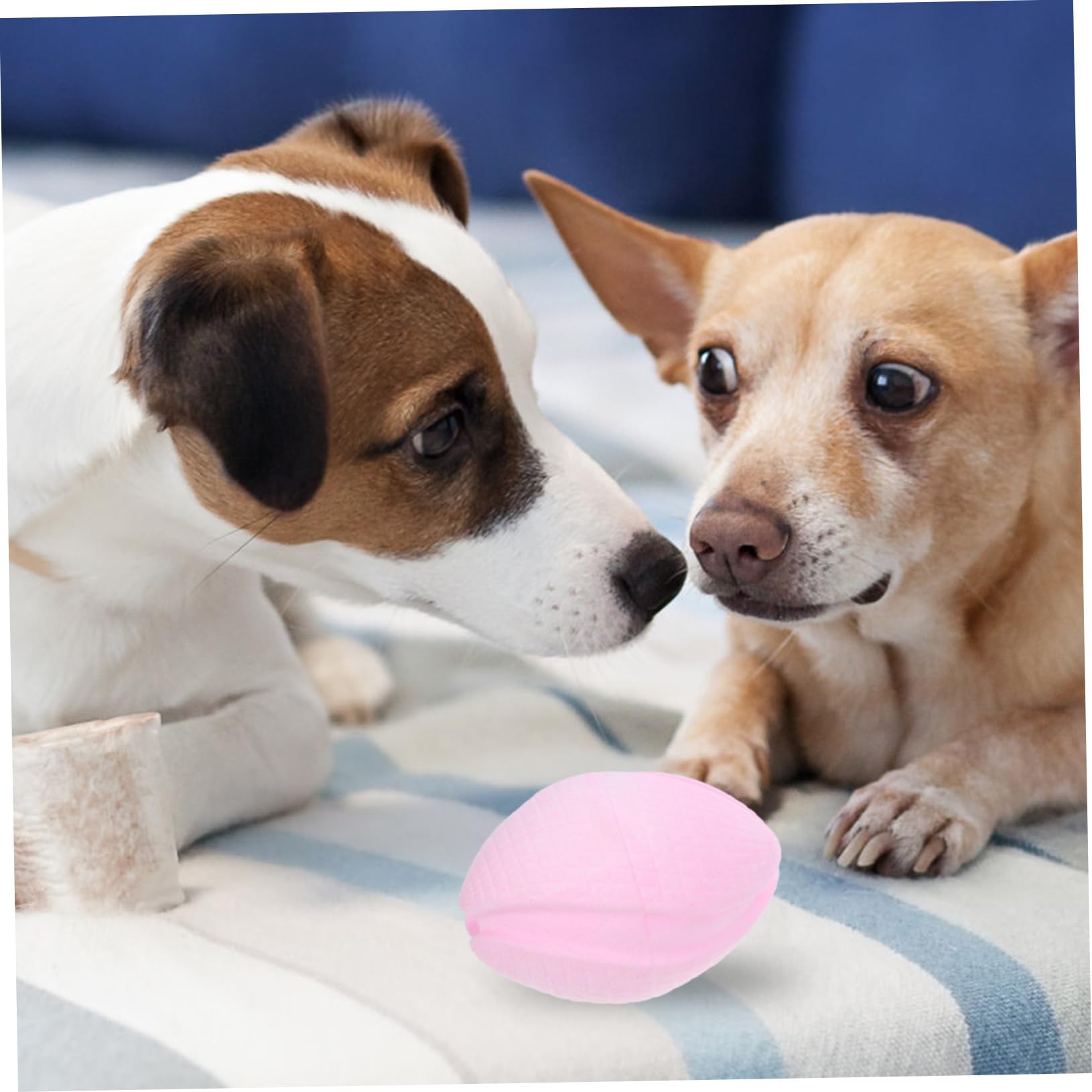 Mipcase 5pièces Jouet à Mâcher pour Chiens Balle De Teething Flottante TPR Jouet De Nettoyage pour Chiots Accessoire Amusant Et Indestructible