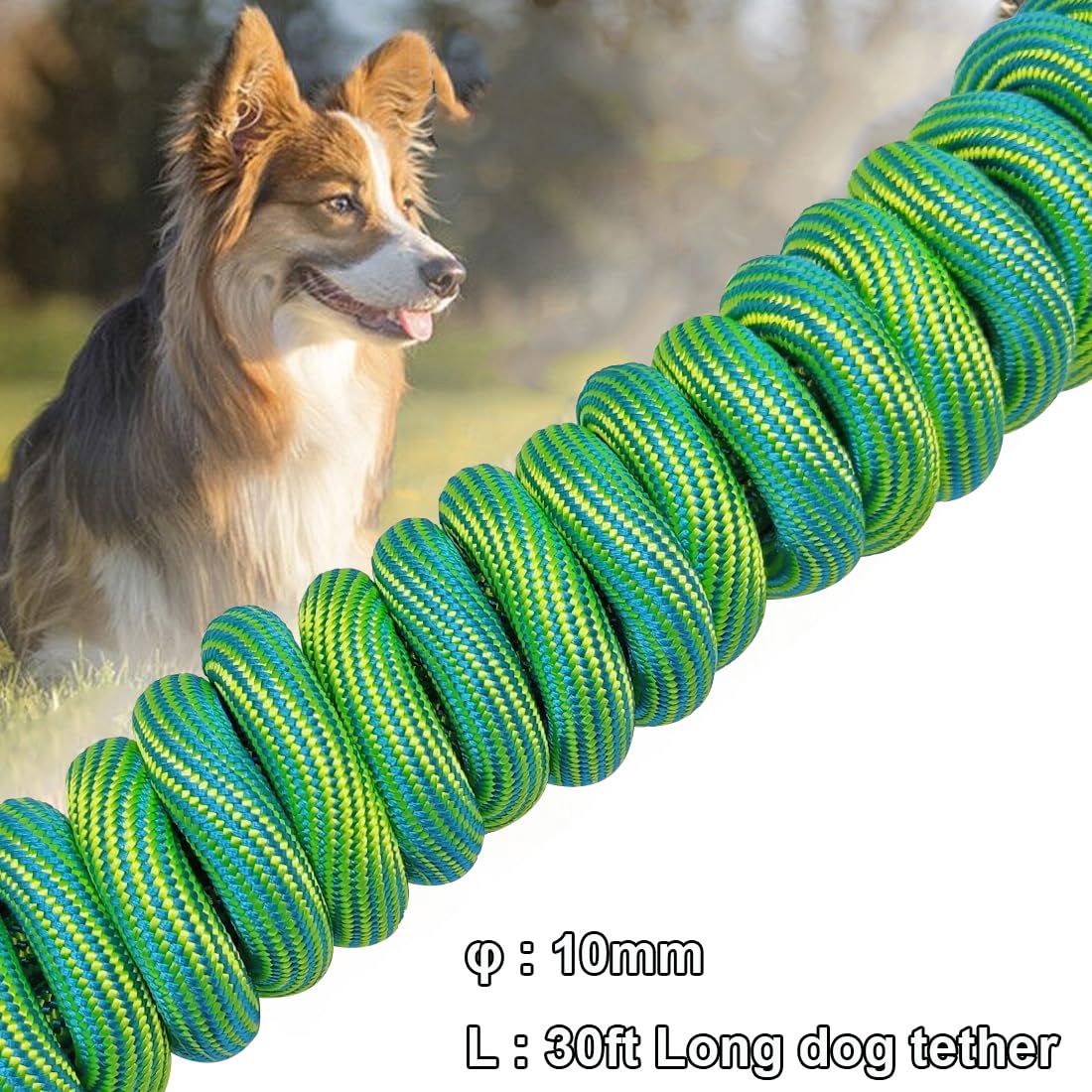 BTINESFUL Correa de cuerda larga para perro de 8 pies, 12 pies, 20 pies, 30 pies, 50 pies y 75 pies, correa de cuerda larga para perro al aire libre, correa de patio para perros grandes, medianos y