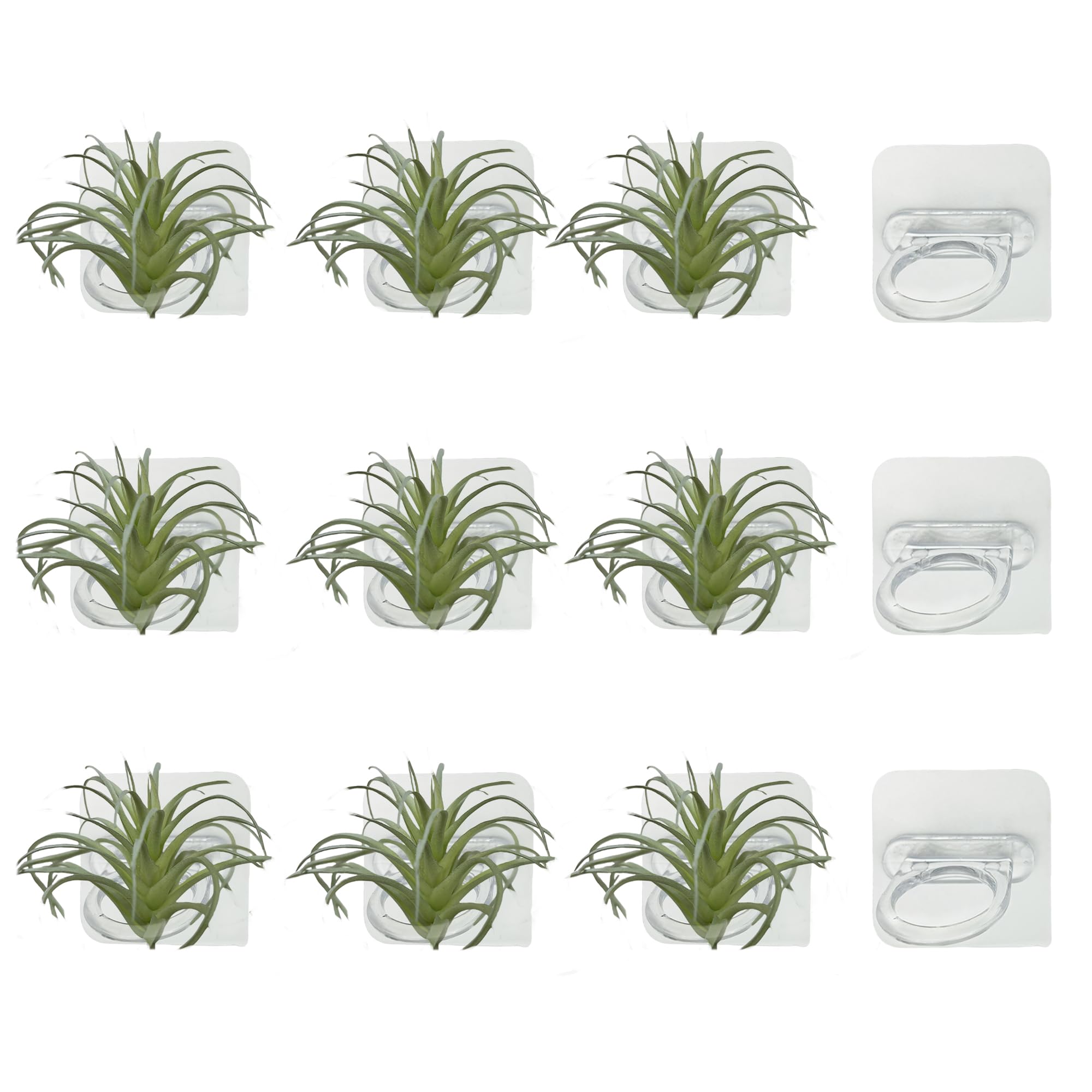 Aogigigio Air Plant Holder - 12 Pcs Acrylic Air Plants Hanger Wall Holders for Live Tropical Plant Home Office Decoration Supplies, Plants Not Included