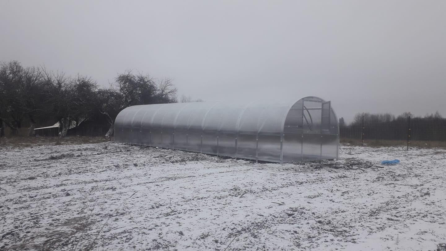 Invernadero Baltic LT 3 x 12 m (largo x ancho) con policarbonato de 6 mm