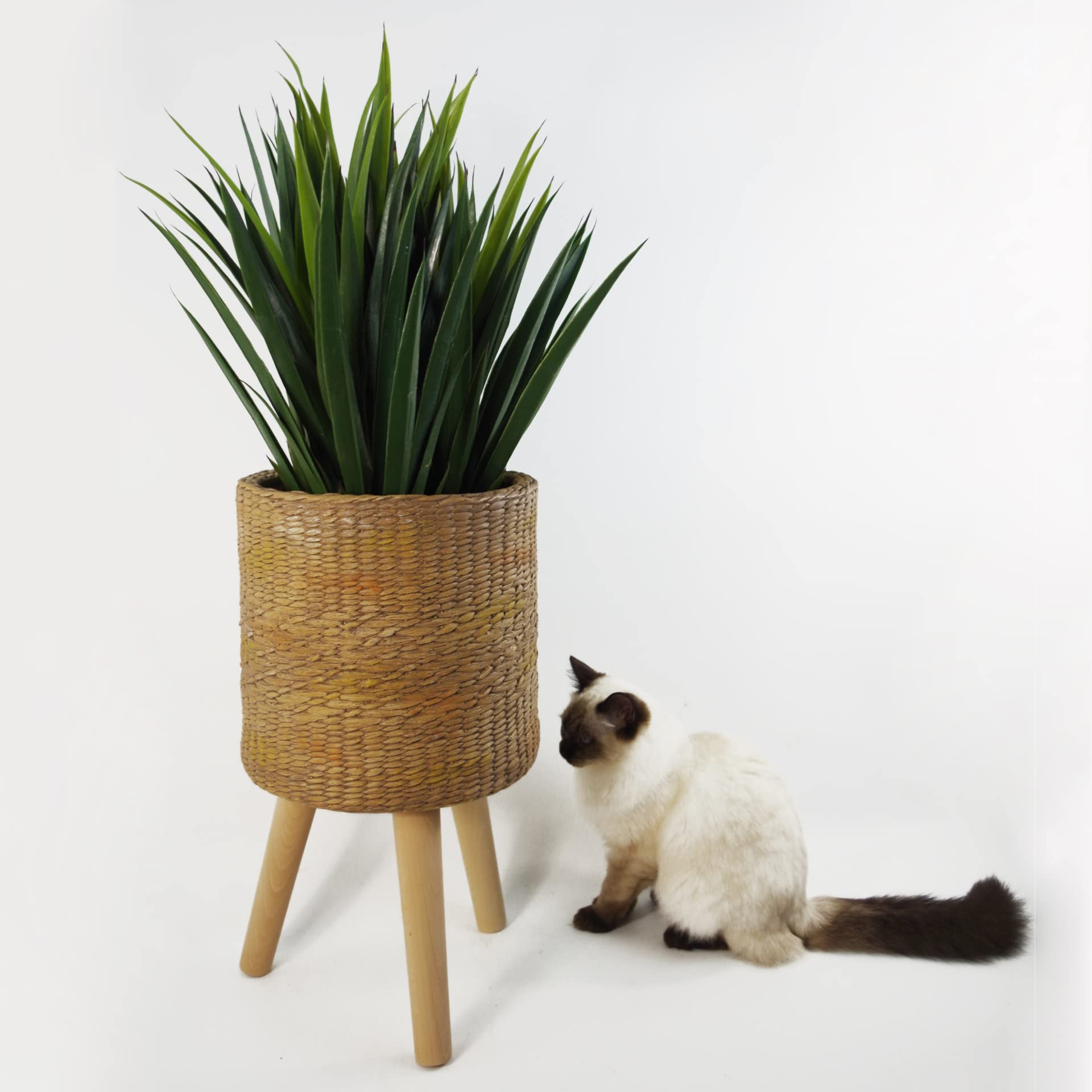 View 2