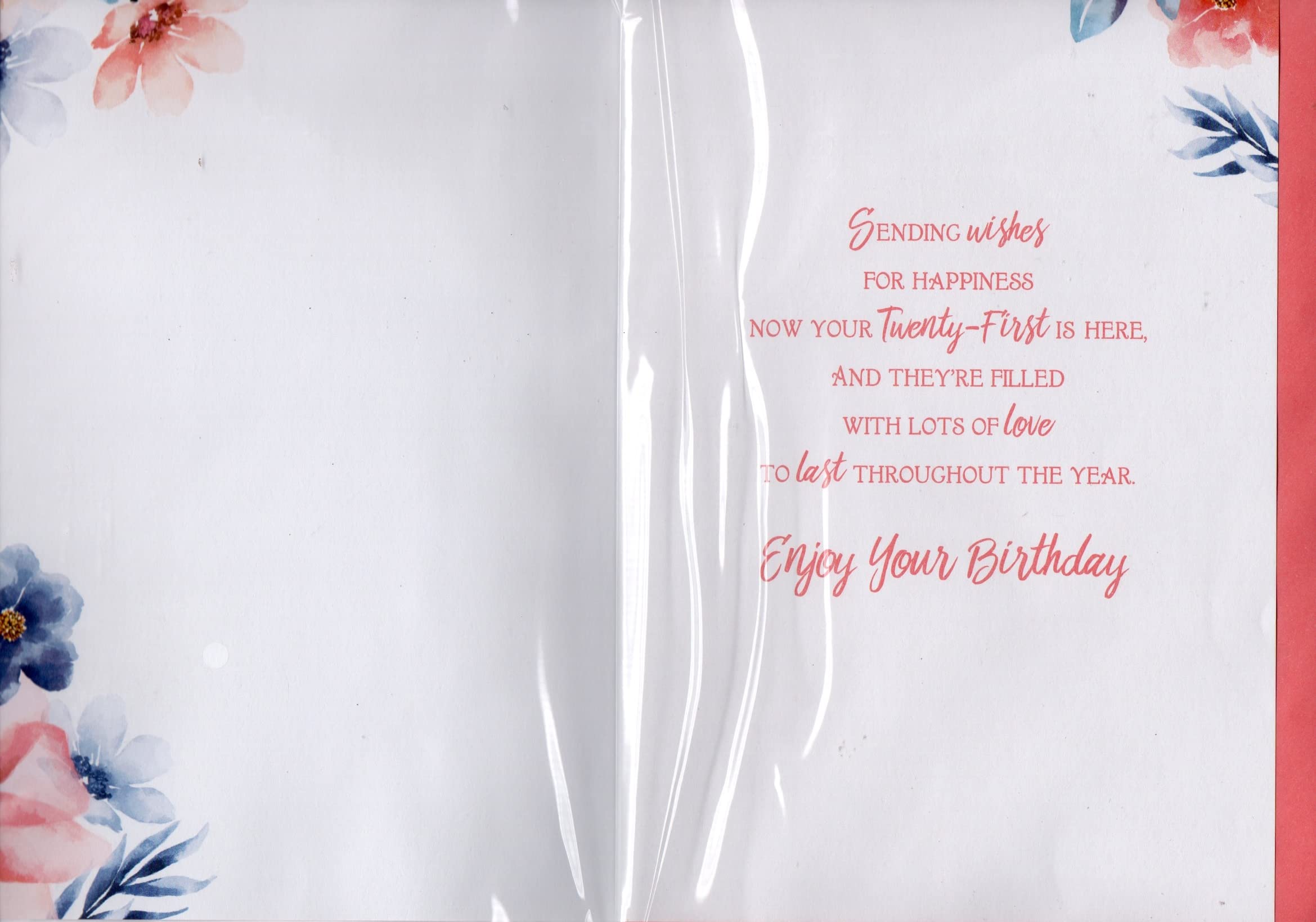 リリパットレーン　HAPPY 21st BIRTHDAY Lilliput Happy 21st. Birthday. Special Edition. 2003. Box