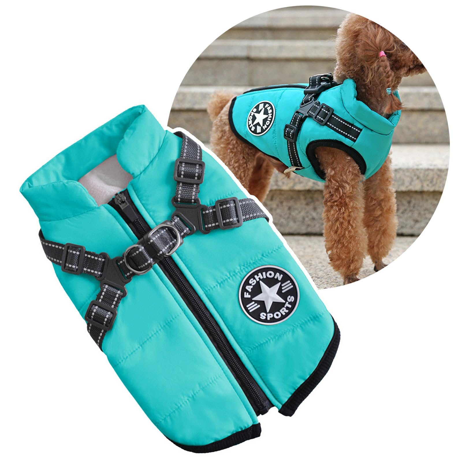 Hundejacke mit Geschirr für kleine Hunde, Hunde-Sportweste für draußen, warmer Haustierwintermantel für Katzen, Welpen, kleine Hunde, Aquamarin