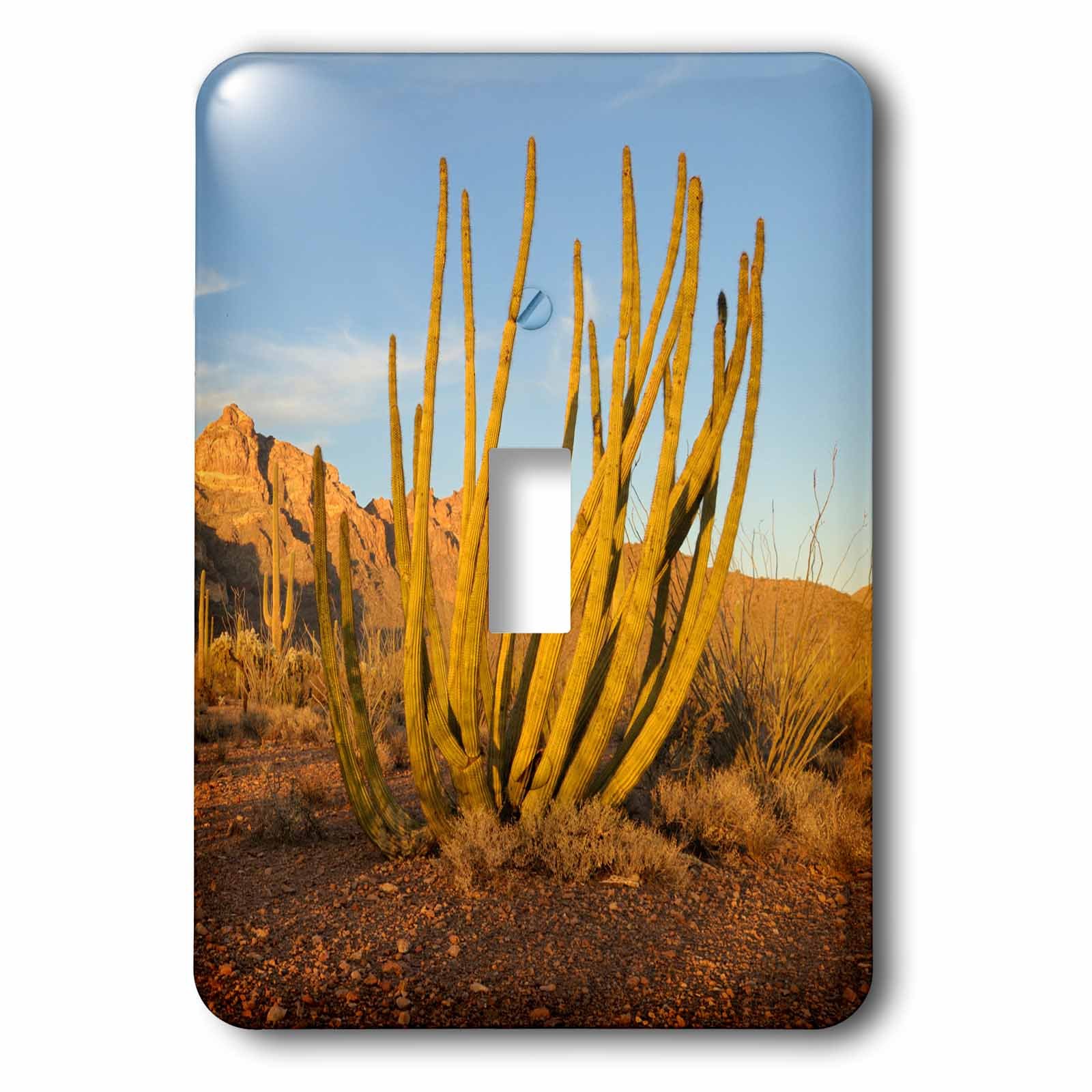 Cubierta para interruptor de luz 3dRose lsp_229718_1 placa decorativa pared