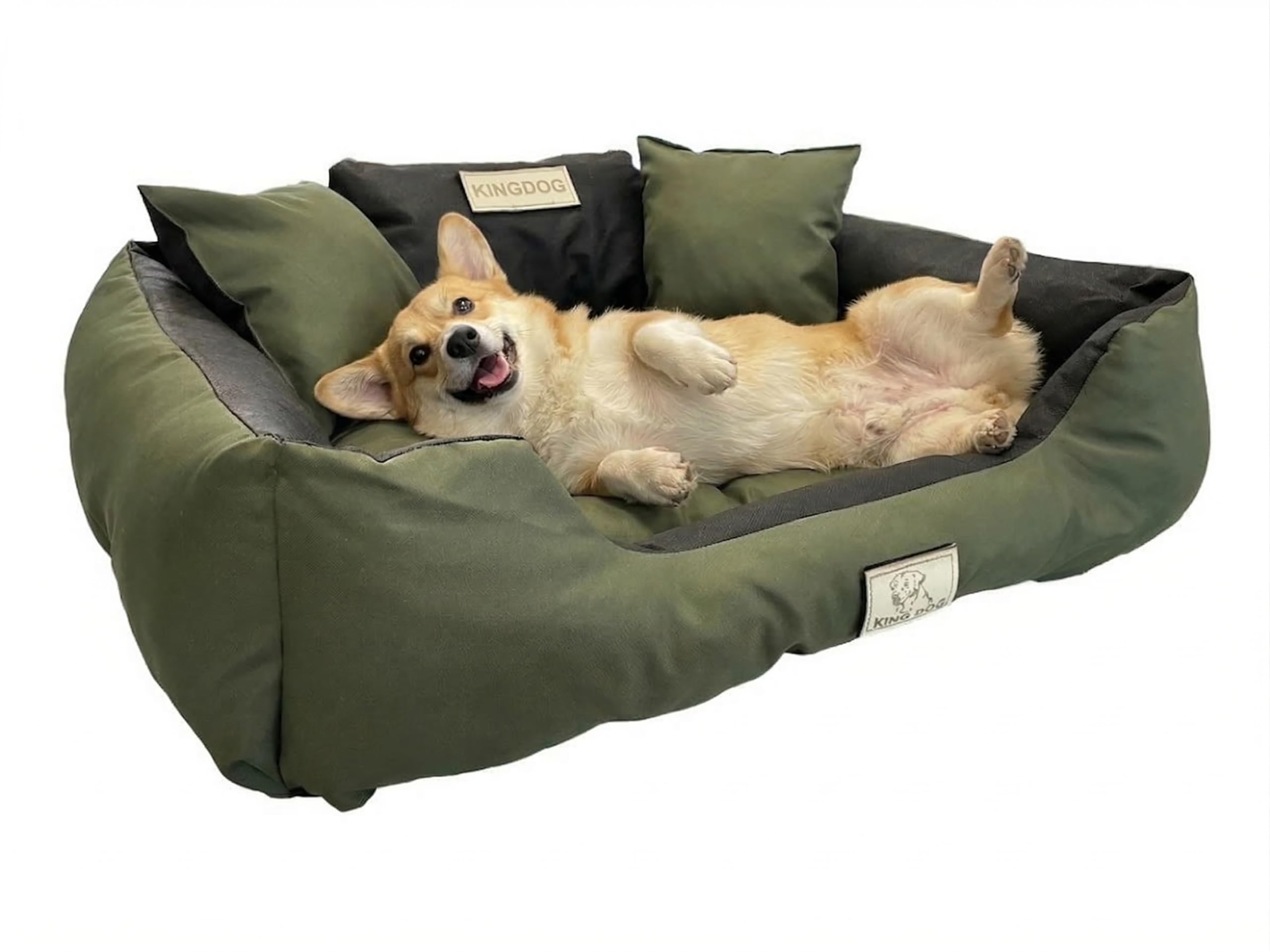 Codura Waterproof Dog Bed – Premium Silicone Fibre Fill Plush Cushion - Tear & Scratch Proof - Anti-Allergic Machine Washable - Handmade Polish Quality - Multiple Sizes & Colours -KING DOG