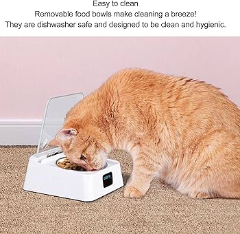 在庫一掃　ニーターフィーダーエクスプレス　犬猫用フードボウル 即納 有田焼フードボウル nune ペット用 食器 猫 小型犬 高台