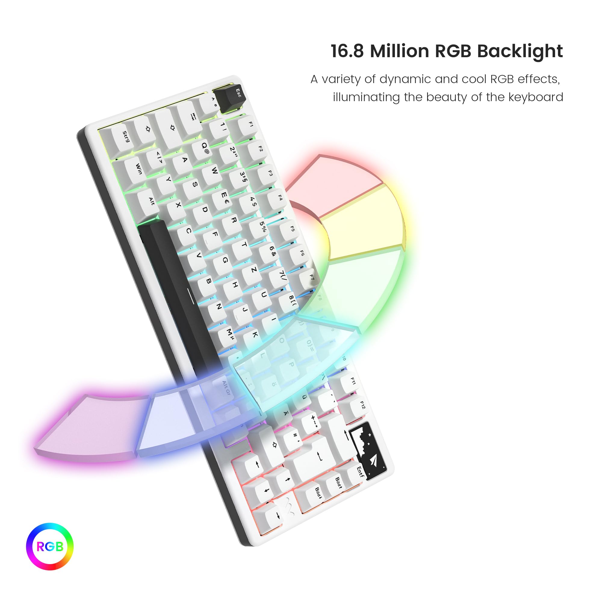 SK71 Pro Tastatur ISO DE, Aluminium, QWERTZ, Tri-Mode, Hot Swappable | Quick Release Wireless, Mechanische Tastatur Custom mit RGB Keyboard für Windows/Mac/PC